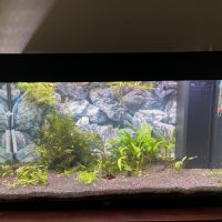 Aquarium complet avec poisson #2