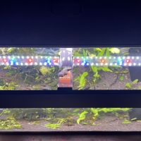 Aquarium complet avec poisson #3