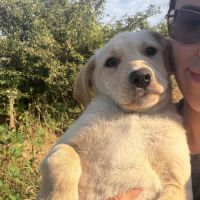 Macela bébé roumaine à l'adoption #2