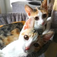 Leia et sa sœur maddy #4