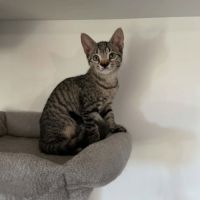 Yennefer cherche sa famille pour la vie #1