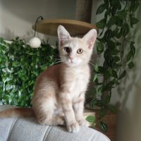 Petit coeur #2