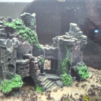 Aquarium ciano 80 en eau + poisson #3