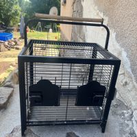 Couple grand alexandre avec cage #4