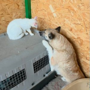 Carla réapprendre à faire confiance #0