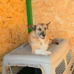 Carla réapprendre à faire confiance #6