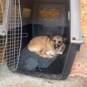 Carla réapprendre à faire confiance #8