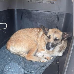 Carla réapprendre à faire confiance #9