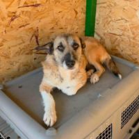 Carla réapprendre à faire confiance #2