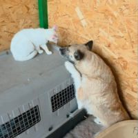 Carla réapprendre à faire confiance