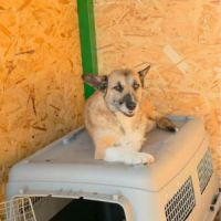 Carla réapprendre à faire confiance #6