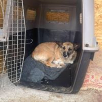 Carla réapprendre à faire confiance #8