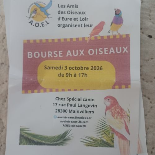 Bourse aux oiseaux le 3 octobre 26 #0