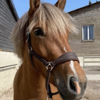 Joyka 7 ans #0