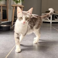 La belle ana cherche sa famille pour la vie