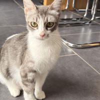 La belle ana cherche sa famille pour la vie #2