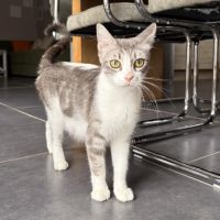 La belle ana cherche sa famille pour la vie #6