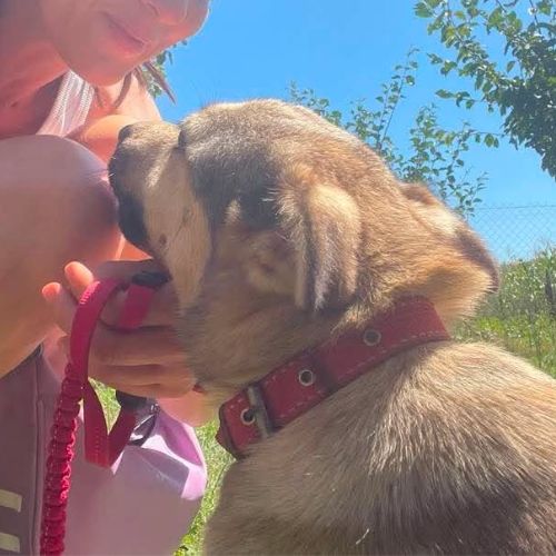 Nelly abandonnée par sa famille en roumanie #2