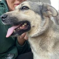 Nelly abandonnée par sa famille en roumanie #3