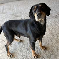 Key est perdu depuis 3 ans en roumanie #1