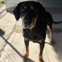 Key est perdu depuis 3 ans en roumanie #2