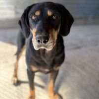 Key est perdu depuis 3 ans en roumanie