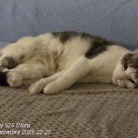 Donne chat #3