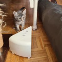 Mory-chaton adorable #3