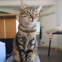 Mimie jolie #2