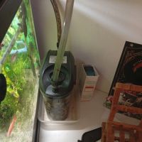 A donner barbu et crevettes + aquarium #0