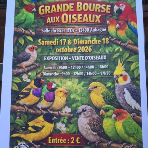 Bourse aux oiseaux