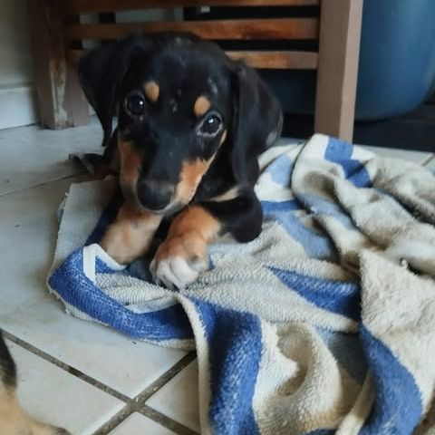 Lia, une vraie bouille d'amour