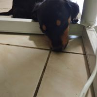 Lia, une vraie bouille d'amour #4