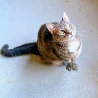 Aïko - junior adorable #1