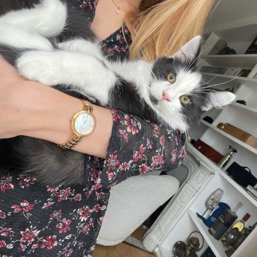 Berlioz un craquant petit curieux #0