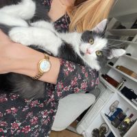 Berlioz un craquant petit curieux
