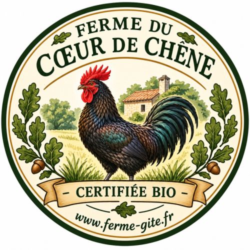 4 jeunes poules gasconnes pure race #4