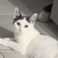 Une petite charmeuse cherche sa famille