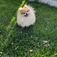 Casper en recherche de famille #1