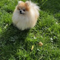 Casper en recherche de famille #2