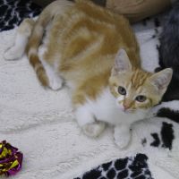 Nica et rigel adorable duo #2