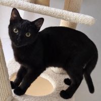Nami recherche sa famille pour la vie !