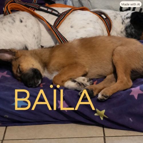 Baïla recherche sa famille pour la vie ! #2