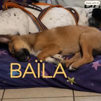 Baïla recherche sa famille pour la vie ! #2