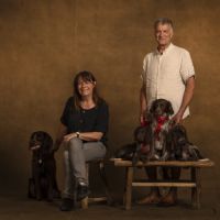 Chiots type épagneul de saint usuge