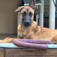 Ambre, le petit bijou #2