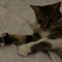 Faye dite pupuce orpheline suite décès de sa maman #2