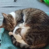 Faye dite pupuce orpheline suite décès de sa maman #5