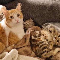Miki 1 an et mila 3 mois : un duo inséparable