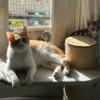 Miki 1 an et mila 3 mois : un duo inséparable #7